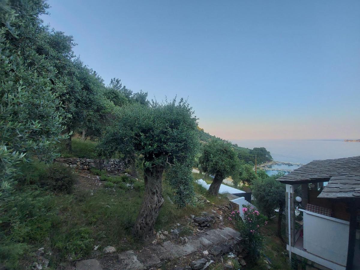 Dionysos Hotel 3*